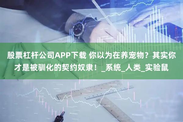 股票杠杆公司APP下载 你以为在养宠物？其实你才是被驯化的契约奴隶！_系统_人类_实验鼠