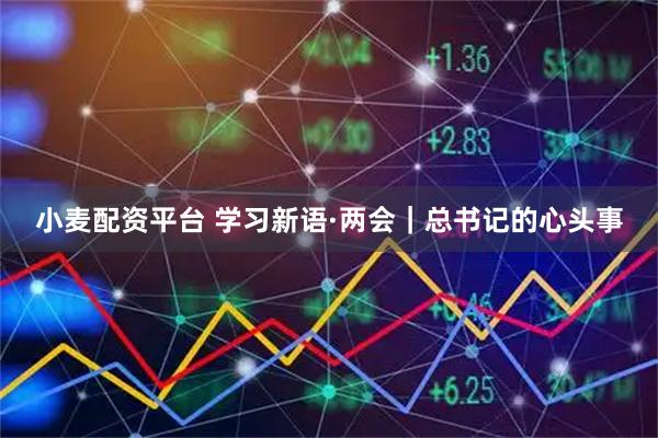 小麦配资平台 学习新语·两会｜总书记的心头事